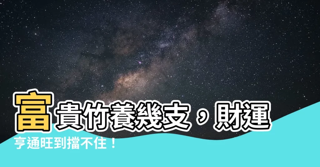 【富貴竹養幾支】富貴竹養幾支，財運亨通旺到擋不住！