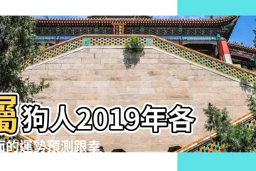 【2019屬狗幸運數字】屬狗人2019年各方面的運勢預測跟幸運數字 |屬狗的人2019年運勢及運程詳解 |2019年生肖狗整年運勢 |