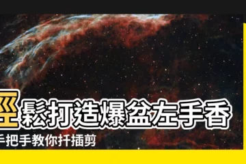 【左手香剪枝】輕鬆打造爆盆左手香！手把手教你扦插剪枝小秘訣