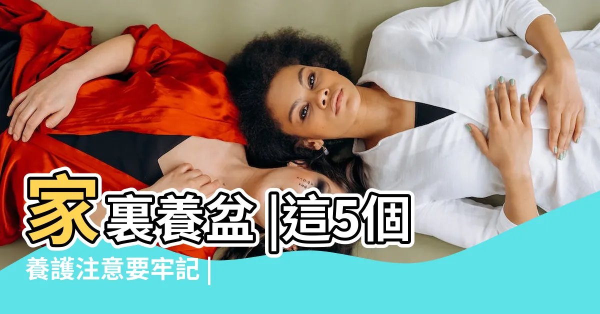 【吸財樹風水】家裏養盆 |這5個養護注意要牢記 |吸財樹風水作用與寓意家裏種吸財樹風水禁忌 |