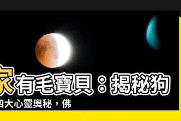 【家狗】家有毛寶貝：揭秘狗狗四大心靈奧秘，佛學解析人寵之間的深層連結