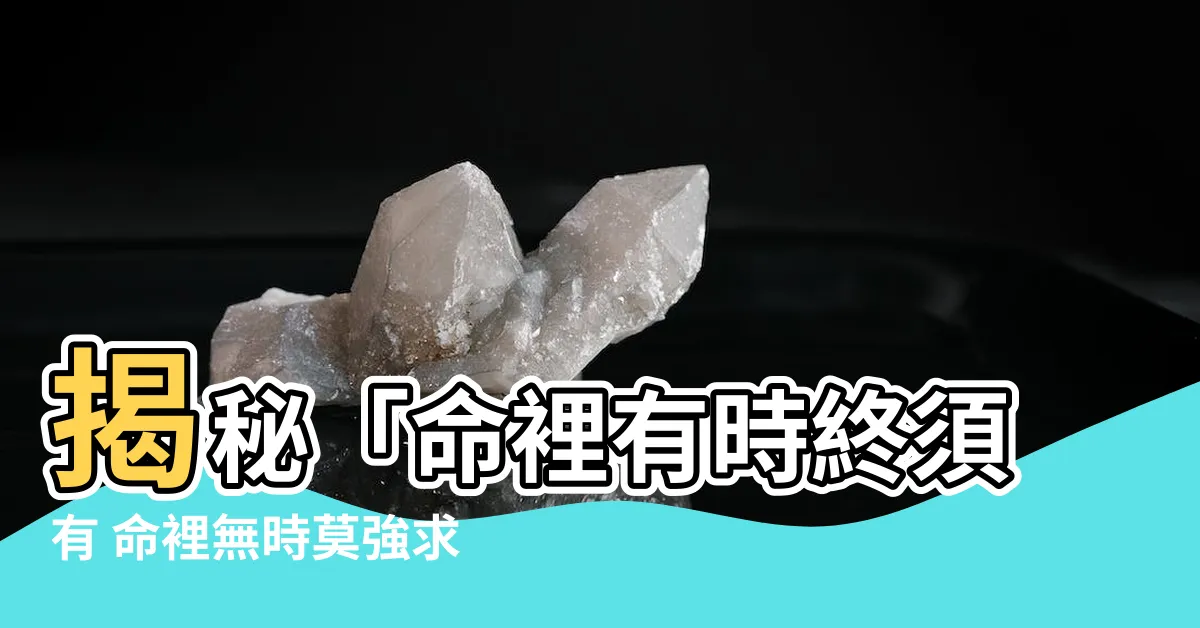 【命裡有時終須有 命裡無時莫強求意思】揭秘「命裡有時終須有 命裡無時莫強求」的驚人含義