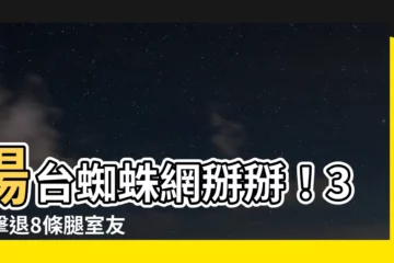【陽台蜘蛛網】陽台蜘蛛網掰掰！3招擊退8條腿室友