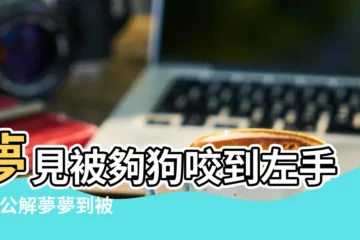 【夢到狗咬孩子左胳膊】夢見被夠狗咬到左手 |周公解夢夢到被小孩咬左胳膊上還留下了牙印 |夢見狗咬小孩 |
