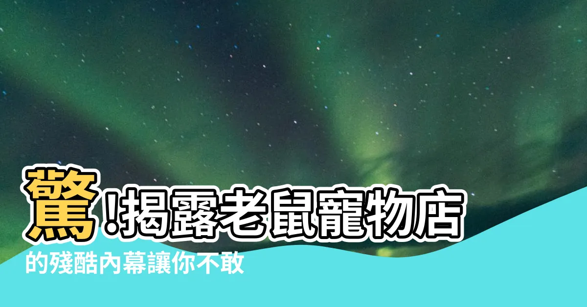 【老鼠寵物店】驚!揭露老鼠寵物店的殘酷內幕讓你不敢養