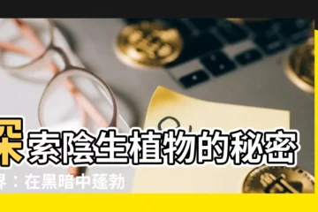 【陰生植物】探索陰生植物的秘密世界：在黑暗中蓬勃發展的奇蹟