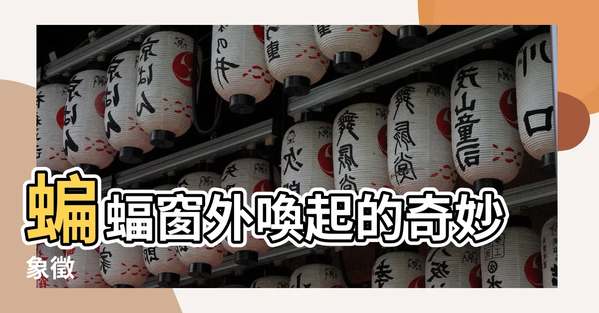 【蝙蝠在窗户】蝙蝠窗外喚起的奇妙象徵