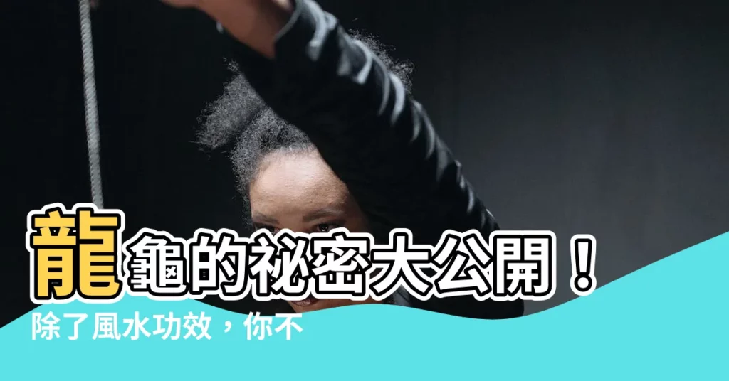 【龍龜吃什麼】龍龜的秘密大公開！除了風水功效，你不可錯過的龍龜養殖秘訣