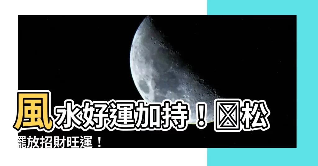 【黒松 風水】風水好運加持！黒松擺放招財旺運！