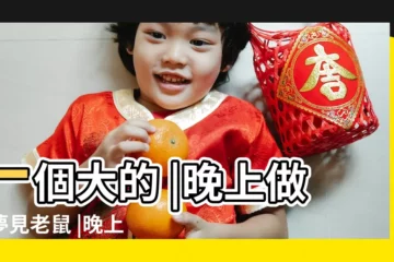 【晚上夢到好多老鼠是什麼意思啊】一個大的 |晚上做夢夢見老鼠 |晚上做夢夢見很多老鼠是怎麼回事 |