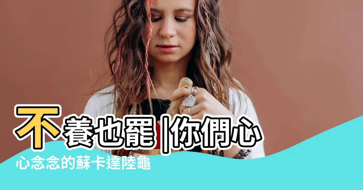 【蘇卡達破壞力】不養也罷 |你們心心念念的蘇卡達陸龜 |海大熱帶生物研究社 |