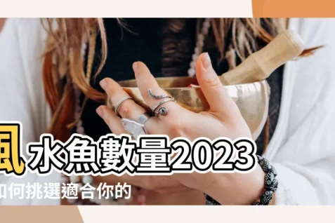 【風水魚數量2023】風水魚數量2023：如何挑選適合你的養魚數量？