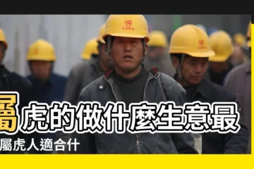 【屬虎人適合做的行業】屬虎的做什麼生意最旺 |屬虎人適合什麼職業和工作 |原創1998年屬虎人適合做什麼生意和行業26歲屬虎2024全年運勢 |