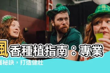 【楓香種植】楓香種植指南：專業養護秘訣，打造健壯繁榮的楓香