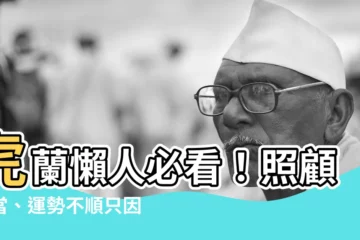 【虎蘭】虎蘭懶人必看！照顧不當、運勢不順只因你漏掉這些細節！