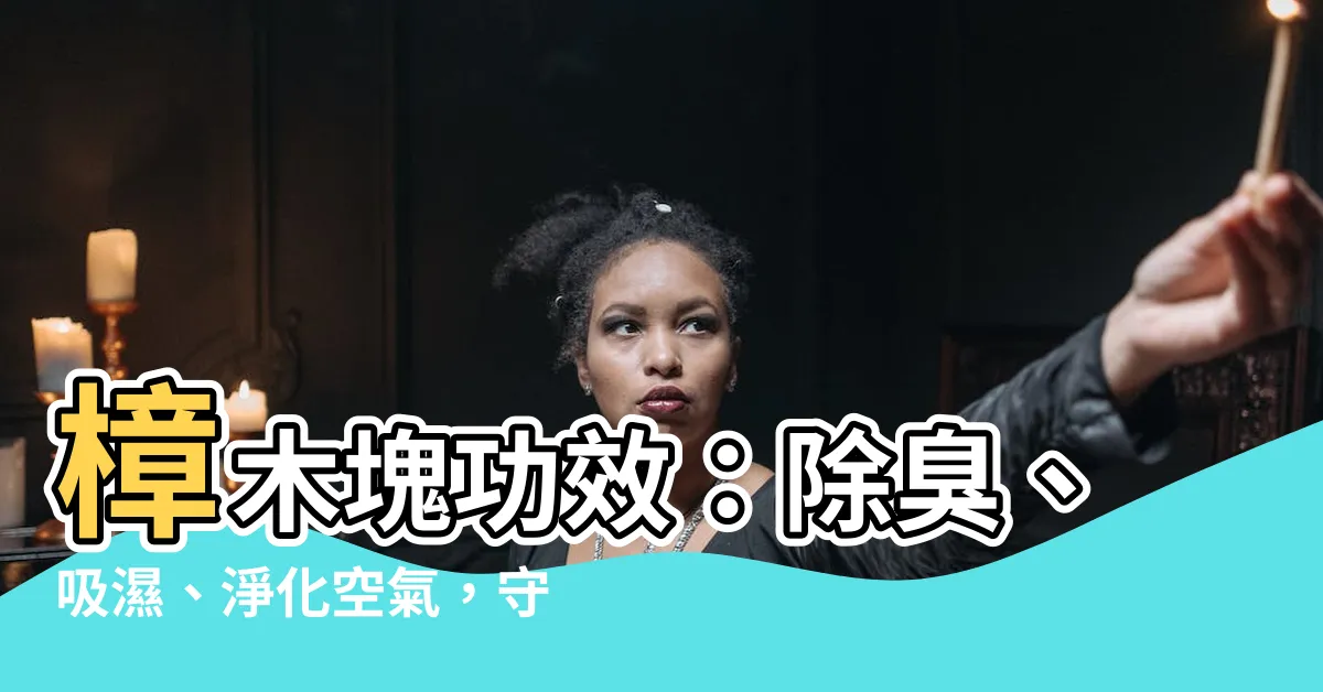 【樟木塊功能】樟木塊功效：除臭、吸濕、淨化空氣，守護您的衣物和健康