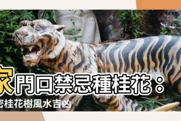 【桂花樹風水】家門口禁忌種桂花：解密桂花樹風水吉凶