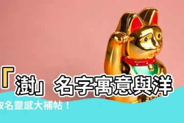 【澍名字】「澍」名字寓意與洋氣取名靈感大補帖！