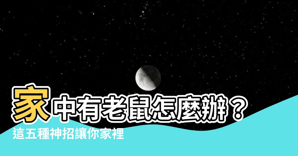 【家裡的老鼠】家中有老鼠怎麼辦？這五種神招讓你家裡的老鼠滅無影蹤！