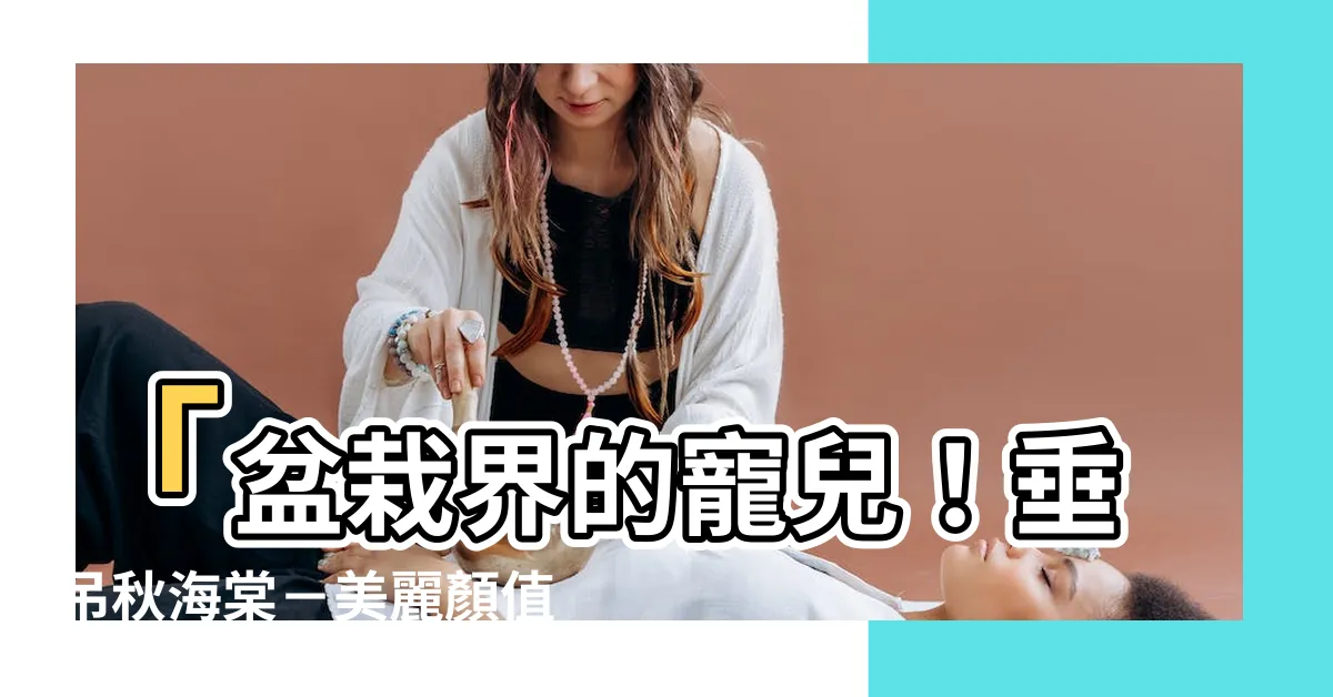【垂吊秋海棠】「盆栽界的寵兒！垂吊秋海棠－美麗顏值與勤奮開花魅力無限」