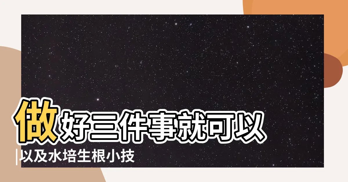 【左手香剪枝】做好三件事就可以 |以及水培生根小技巧 |左手香用途一次看 |
