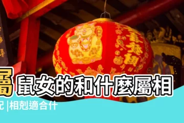 【屬鼠女性適合哪個屬相】屬鼠女的和什麼屬相最配 |相剋適合什麼生肖 |生肖鼠女和什麼生肖最配對 |