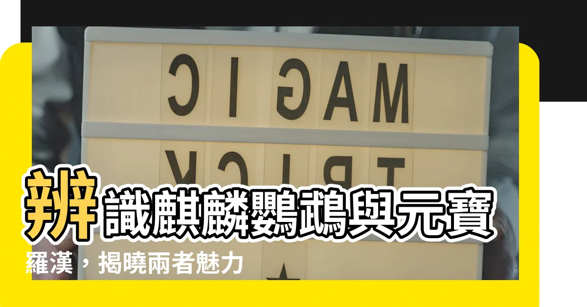 【元寶羅漢魚】辨識麒麟鸚鵡與元寶羅漢，揭曉兩者魅力差異！
