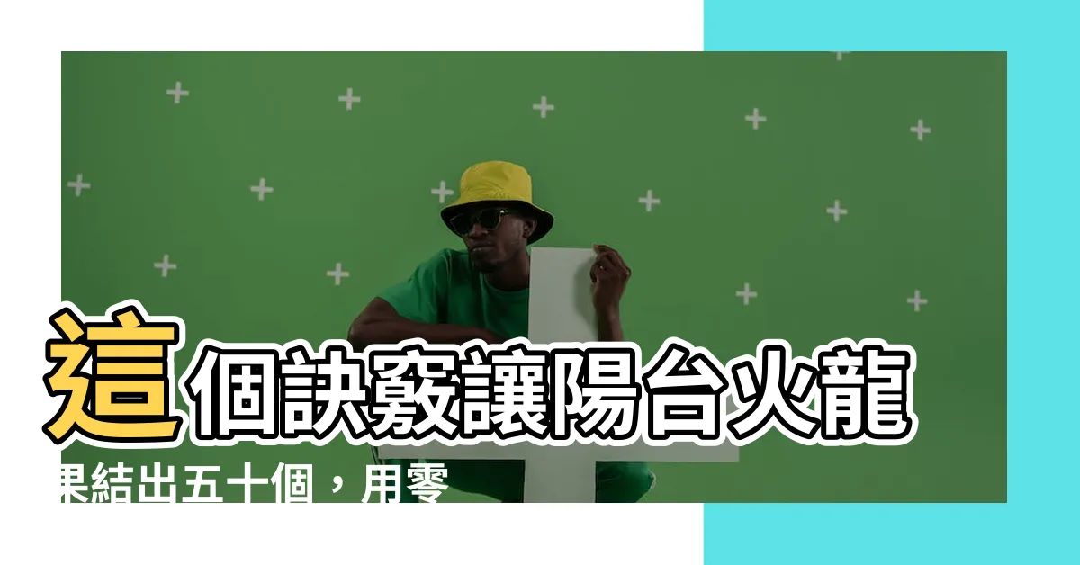 【陽台種火龍果】這個訣竅讓陽台火龍果結出五十個，用零成本獲得豐收！
