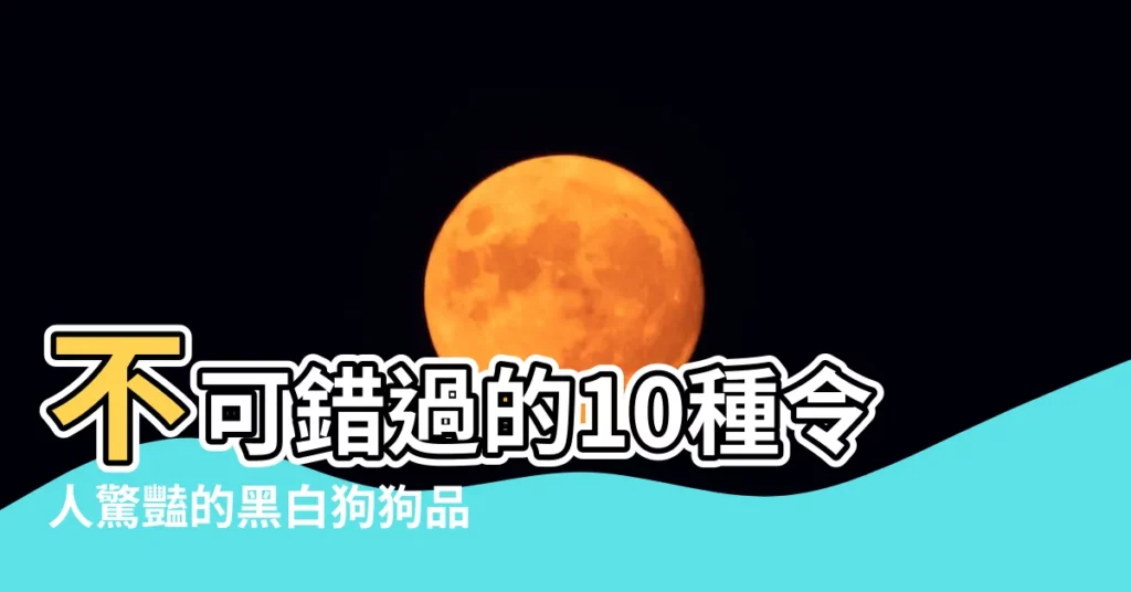 【黑白色的狗】不可錯過的10種令人驚豔的黑白狗狗品種