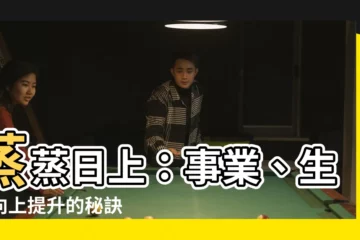 【蒸蒸日上 意思】蒸蒸日上：事業、生活向上提升的秘訣