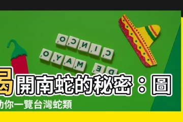 【南蛇】揭開南蛇的秘密：圖鑑助你一覽台灣蛇類