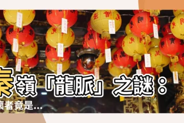 【秦嶺龍脈】秦嶺「龍脈」之謎：破壞者竟是... 引發習近平連連受挫？