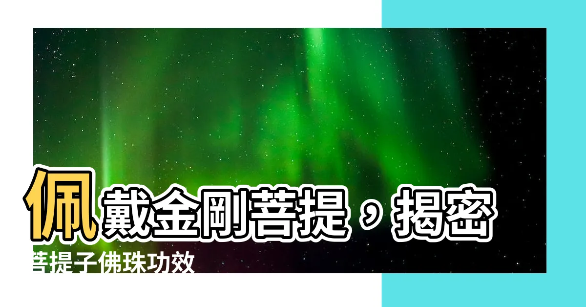 【菩提子佛珠功效】佩戴金剛菩提，揭密菩提子佛珠功效