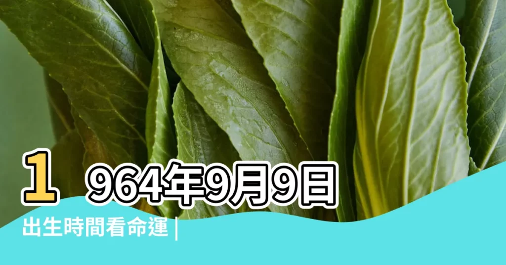 1964年9月9日出生時間看命運 |農曆1964年9月9日生日算命 |1964年9月9日出生日期看命運 |【1964年9月9日生日】