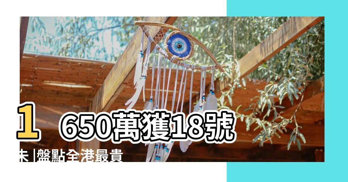 【車牌9】1650萬獲18號未 |盤點全港最貴車牌 |好的車牌號碼數字組合 |