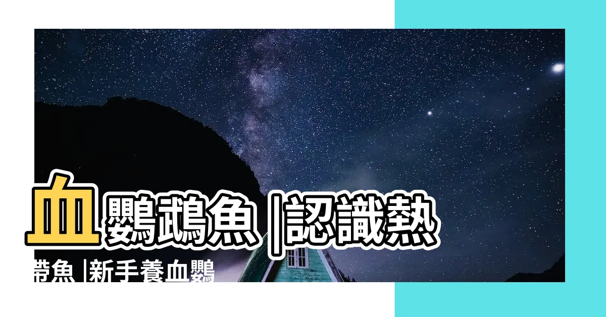【血鸚鵡水質】血鸚鵡魚 |認識熱帶魚 |新手養血鸚鵡水質問題 |