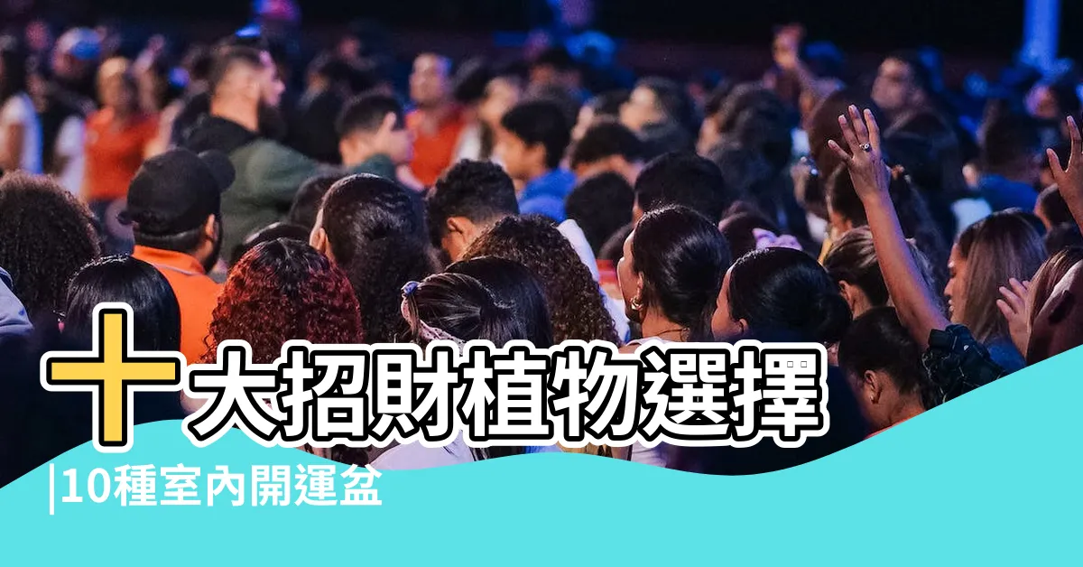 【招財盆栽】十大招財植物選擇 |10種室內開運盆栽 |優惠推薦 |