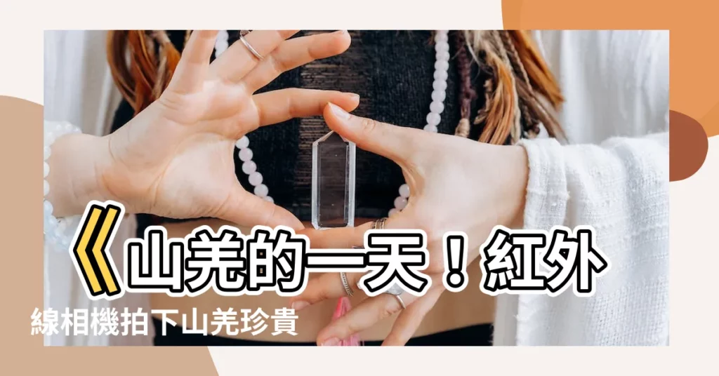 【山ㄑㄧㄤ】《山羌的一天！紅外線相機拍下山羌珍貴日常》