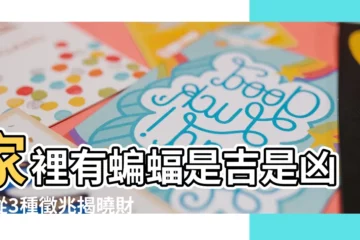 【家裡有蝙蝠是好是壞】家裡有蝙蝠是吉是兇？從3種徵兆揭曉財運動向！