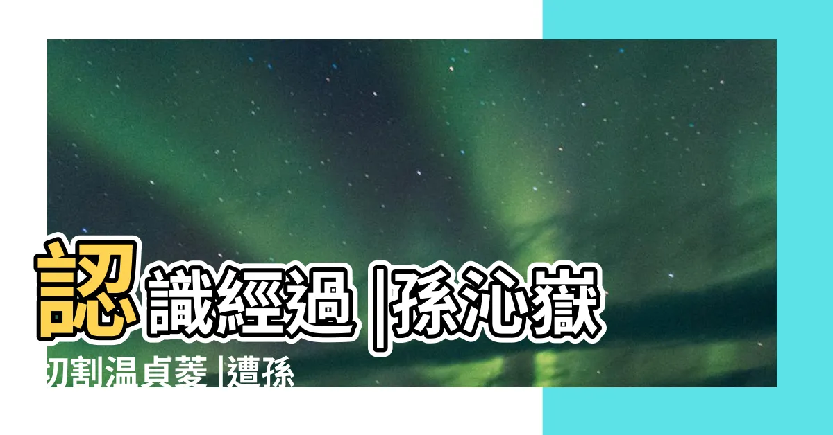 【温貞菱孫沁嶽】認識經過 |孫沁嶽切割温貞菱 |遭孫沁嶽切割温貞菱今露面12個字吐露心情 |