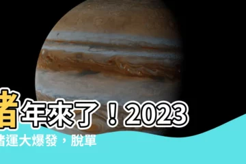 【豬2023】豬年來了！2023年豬運大爆發，脱單、發財、升職一次滿足