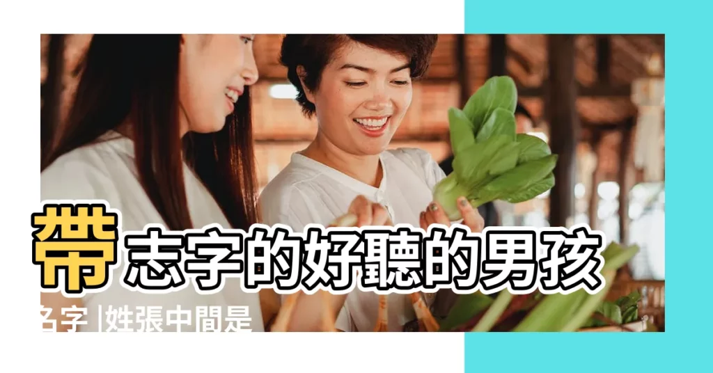 帶志字的好聽的男孩名字 |姓張中間是志字輩起名字叫什麼好聽呢 |寶寶起名 |【起名字中間是志的男孩】