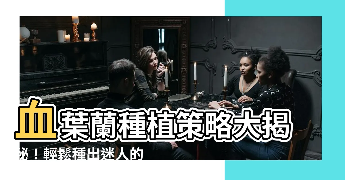【血葉蘭種植】血葉蘭種植策略大揭秘！輕鬆種出迷人的寶石蘭