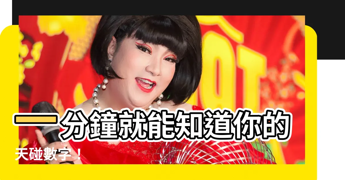 【天碰表】一分鐘就能知道你的天碰數字！