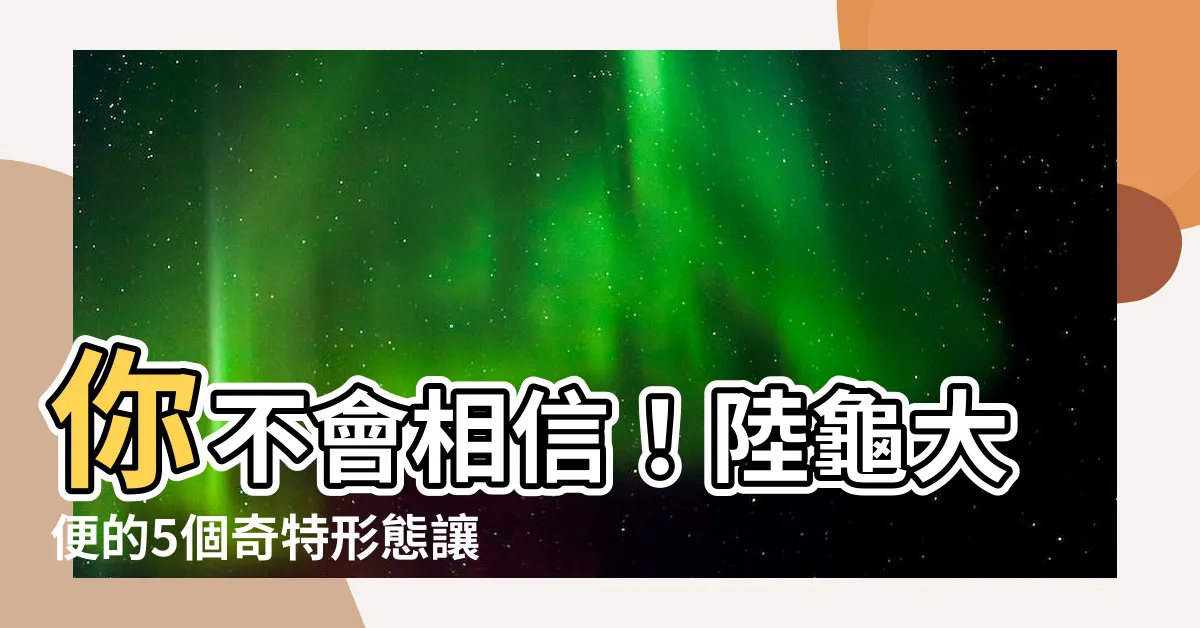【陸龜大便】你不會相信！陸龜大便的5個奇特形態讓人不再害怕！