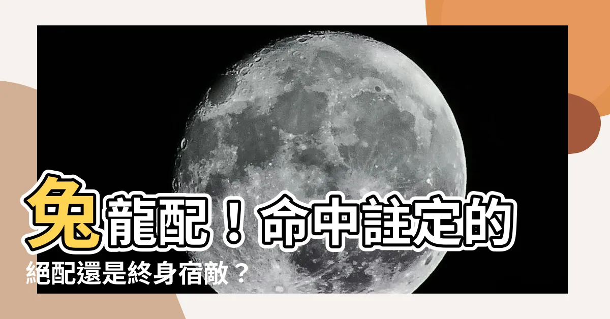 【兔與龍】兔龍配！命中註定的絕配還是終身宿敵？