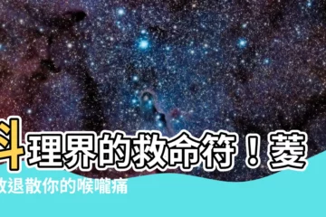 【菱角散】料理界的救命符！菱角散退散你的喉嚨痛