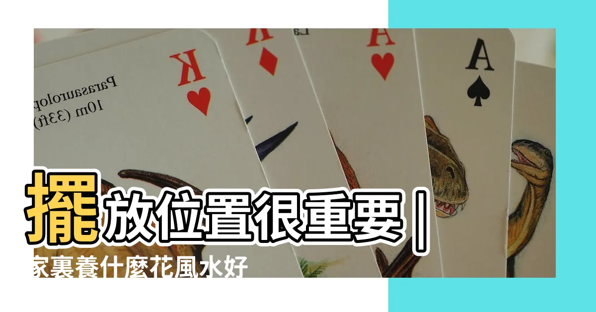 【花風水】擺放位置很重要 |家裏養什麼花風水好 |居家風水學 |
