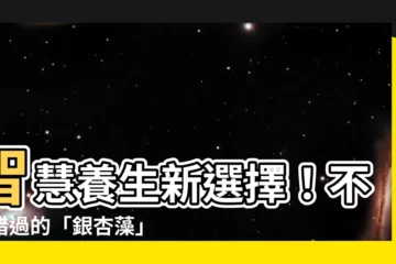 【銀杏藻】智慧養生新選擇！不可錯過的「銀杏藻」健康奧秘