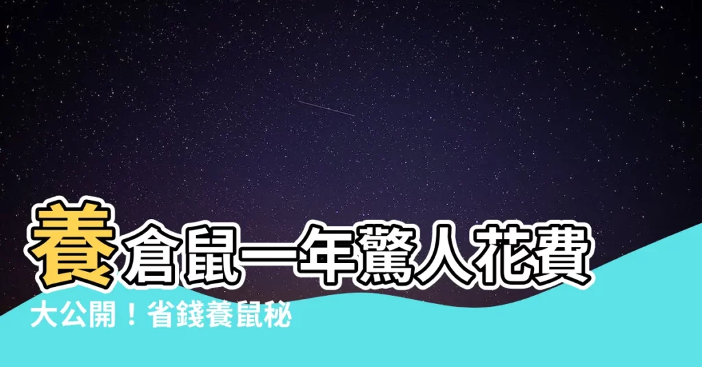 【養倉鼠花費】養倉鼠一年驚人花費大公開!省錢養鼠秘技報你知